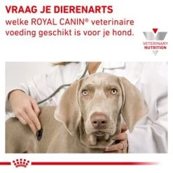Royal Canin Veterinary Sensitivity Control Kip & Rijst Hondenvoer -Hondenbenodigdheden Korting rc vet wet dogsenscontcwr cv eretailkit 6 nl nl 6