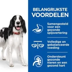 Hill's Science Plan Canine Adult Healthy Cuisine Met Kip Hondenvoer -Hondenbenodigdheden Korting sp healthy cuisine thumbnails dog adult benefits nl 9