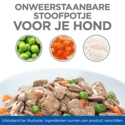 Hill's Science Plan Canine Adult Healthy Cuisine Met Kip En Rund -Hondenbenodigdheden Korting sp healthy cuisine thumbnails dog bowl nl 8