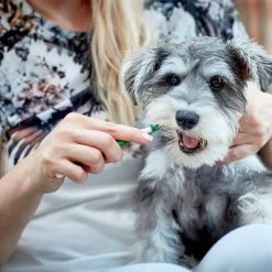 Vet's Best® Tandverzorging Set Voor Honden -Hondenbenodigdheden Korting v317310 vetsbest dentalcare kit hs 09 3