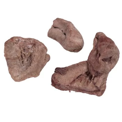 Wolf Of Wilderness - Gevriesdroogde Premium-Snacks 19 Wolf Of Wilderness - Gevriesdroogde Premium-Snacks - Afbeelding 17