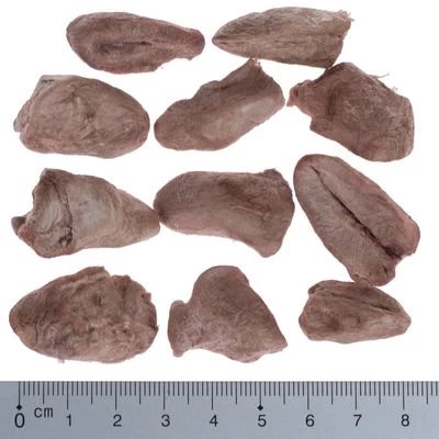 Wolf Of Wilderness - Gevriesdroogde Premium-Snacks 18 Wolf Of Wilderness - Gevriesdroogde Premium-Snacks - Afbeelding 16