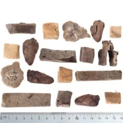 Wolf Of Wilderness Snack - RAW 5 (Mix, Gevriesdroogd) 8 Wolf Of Wilderness Snack - RAW 5 (Mix, Gevriesdroogd) -Hondenbenodigdheden Korting wow raw mixed fg 5427 2