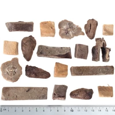 Wolf Of Wilderness Snack - RAW 5 (Mix, Gevriesdroogd) 4 Wolf Of Wilderness Snack - RAW 5 (Mix, Gevriesdroogd) - Afbeelding 2