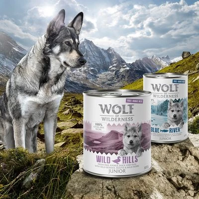 Wolf Of Wilderness Junior "Scharrelvlees" 6 X 800 G Hondenvoer - Afbeelding 3